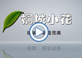&#20061;&#24030;&#32593;&#95;&#20061;&#24030;&#65288;&#20013;&#22269;&#65289;